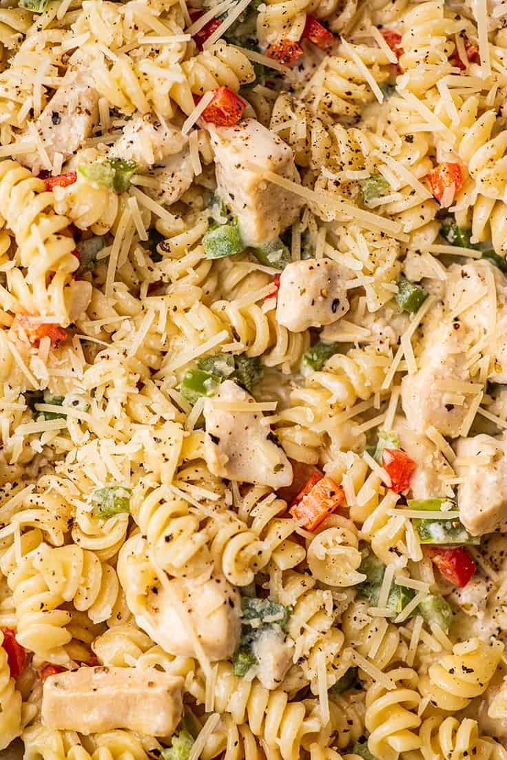 Close up photo of creamy chicken pasta with parmesan cheese.