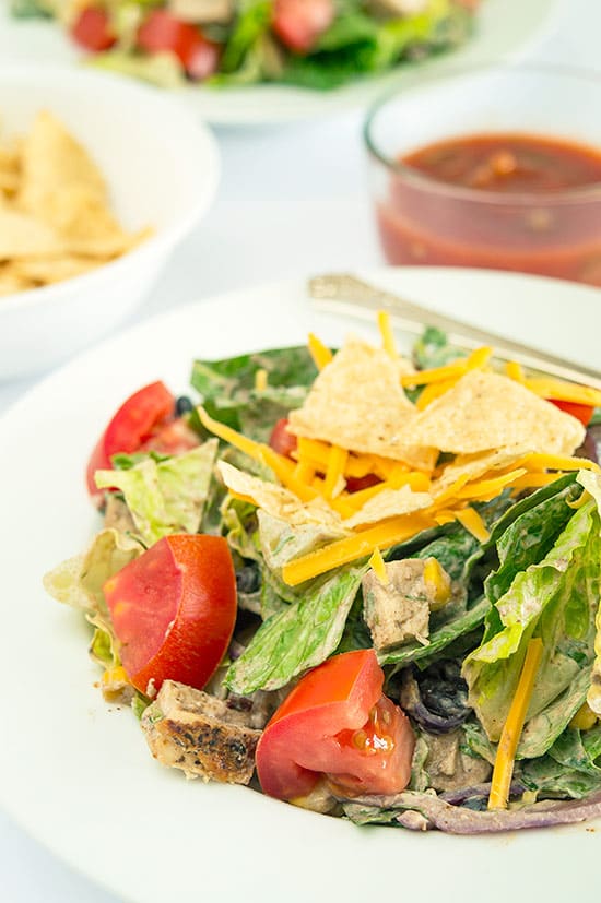 A slightly spicy chicken salad packed with black beans, corn, red onions, and cheese and topped with a chipotle cilantro sour cream dressing. This salad can easily be made burn-your-taste-buds-off-spicy if you are one of those... Recipe includes nutritional information, small-yield, make-ahead, and freezer instructions. From BakingMischief.com