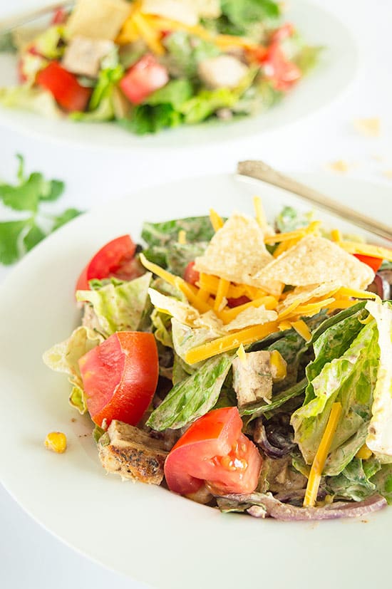 A slightly spicy chicken salad packed with black beans, corn, red onions, and cheese and topped with a chipotle cilantro sour cream dressing. This salad can easily be made burn-your-taste-buds-off-spicy if you are one of those... Recipe includes nutritional information, small-yield, make-ahead, and freezer instructions. From BakingMischief.com