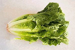 the-fastest-easiest-way-to-cut-romaine-for-salads-animated-no-text-2