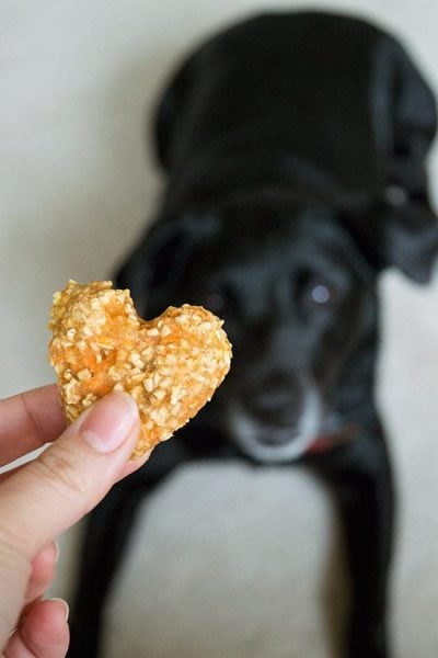 Carrot Oat Applesauce Treats for Dogs and Horses