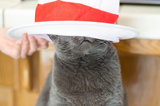 green-eggs-and-ham-mini-quiche-cat-in-the-hat