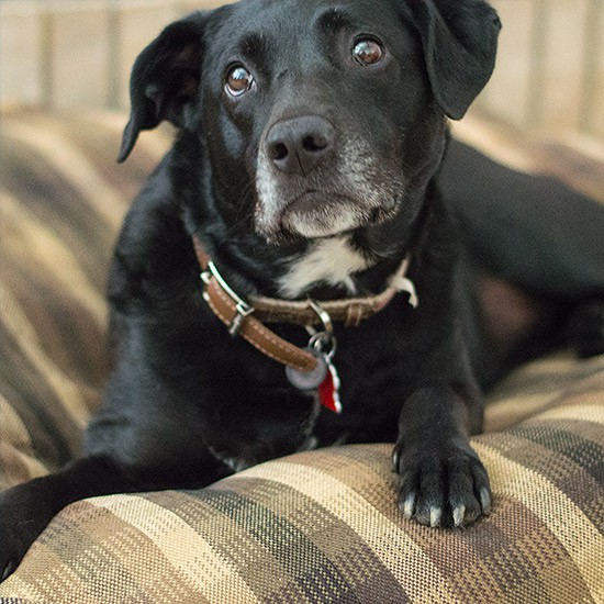 Saturday Morning Snapshot