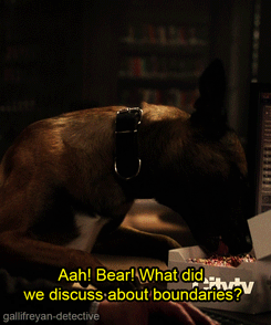 My favorite baked doughnut recipe infused with sencha green tea and topped with a fresh strawberry glaze and sprinkles. Recipe includes nutritional information. From BakingMischief.com