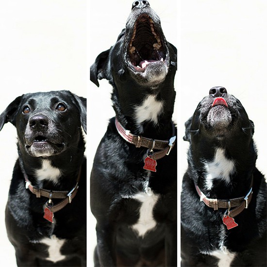 (Not) Saturday Morning Snapshot - Ella