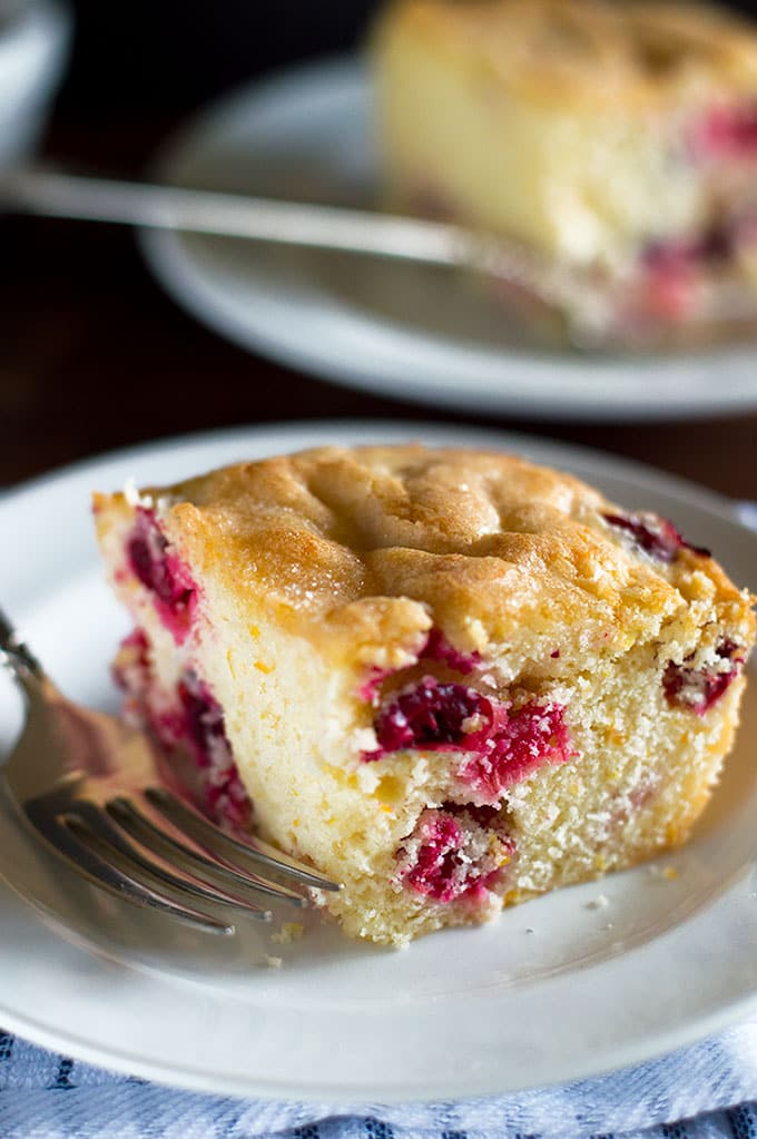 This Mini Cranberry Breakfast Cake is a perfect easy breakfast for two to four. Recipe includes nutritional information. From BakingMischief.com