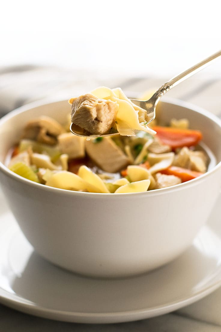 Photo of spoonful of chicken noodle soup for one.
