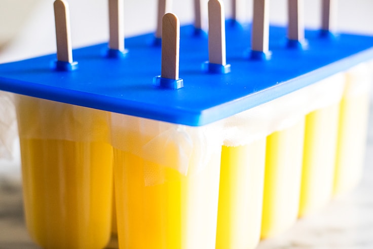My favorite popsicle tips and tricks plus some of the best popsicle recipes on the internet!