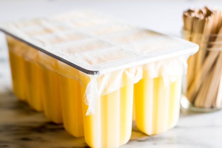 My favorite popsicle tips and tricks plus some of the best popsicle recipes on the internet!