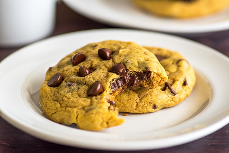 Pumpkin cookies with chocolate chips on a white plate.