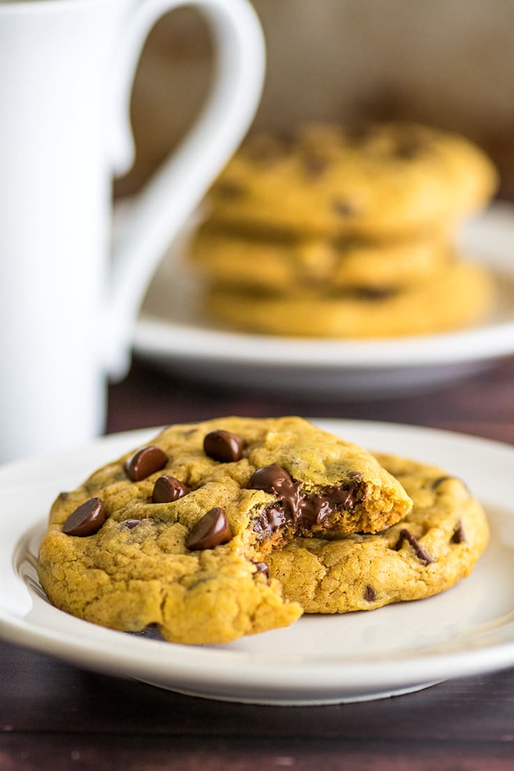 Chocolate chip pumpkin cookies on a plate.