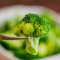 Piece of microwave steamed broccoli on a fork.