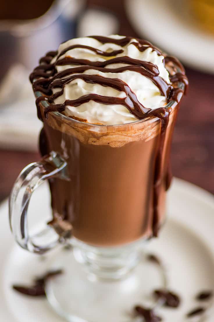Mug of thick hot chocolate with whipped cream and chocolate sauce.
