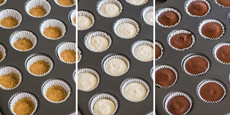 Step by step photo of No-bake Cheesecake Bites With Graham Cracker Crust being made.