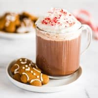 Square picture of Peppermint Mocha in a mug next to gingerbread cookies.