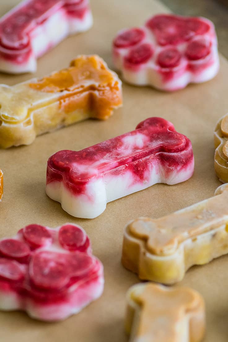 Photo of different flavored 2-ingredient Pupsicles on brown paper.