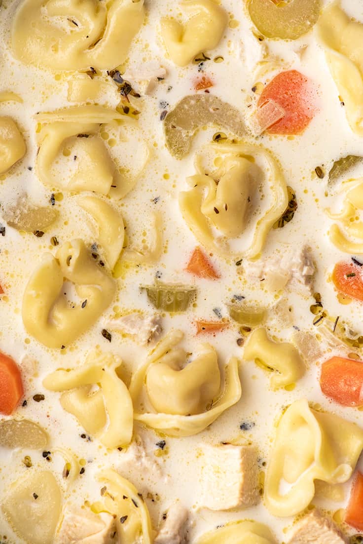 Close up photo of creamy chicken tortellini soup.